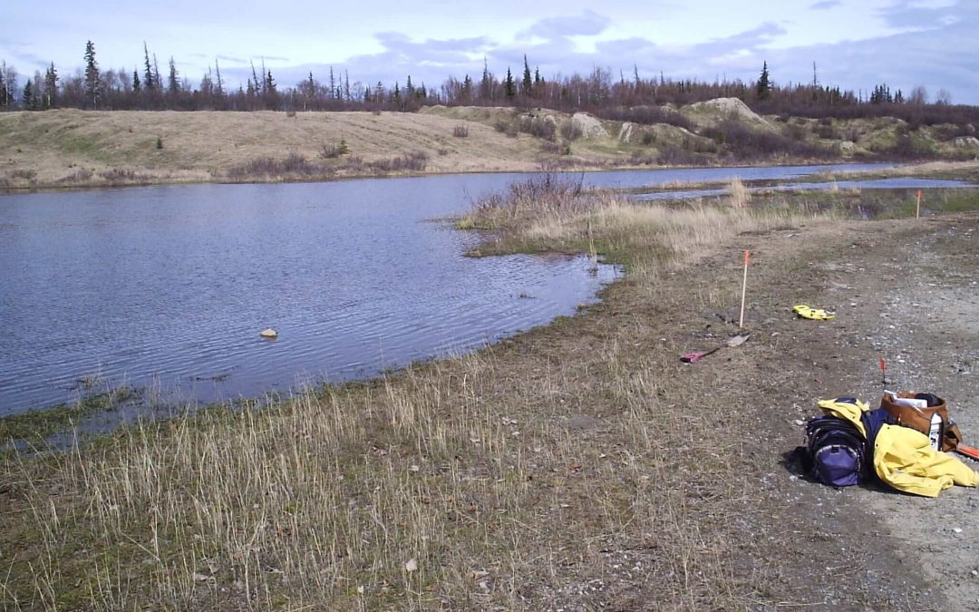 AGLAD Wetland Delineation